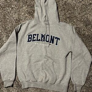 Champion Gray Collegiate Sweatshirt Hoodie